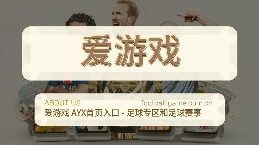 爱游戏关于我们